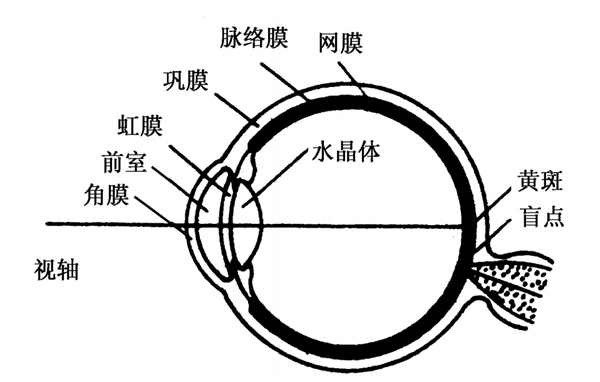 如何提高目視評估結果的準確性？